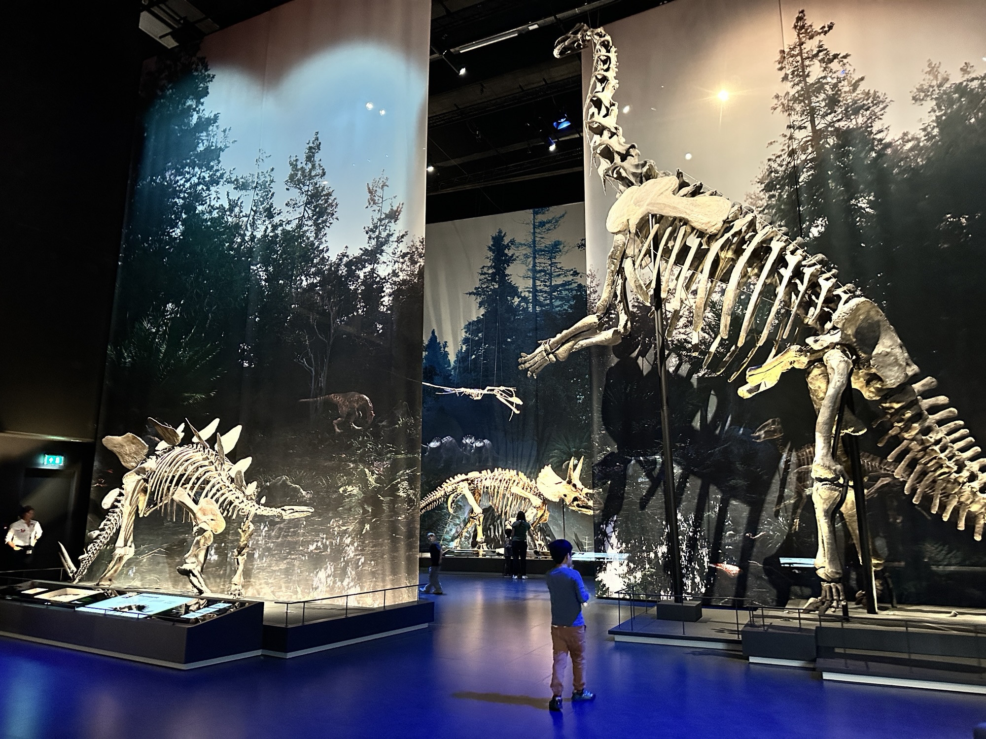 Naturaris Leiden dino
